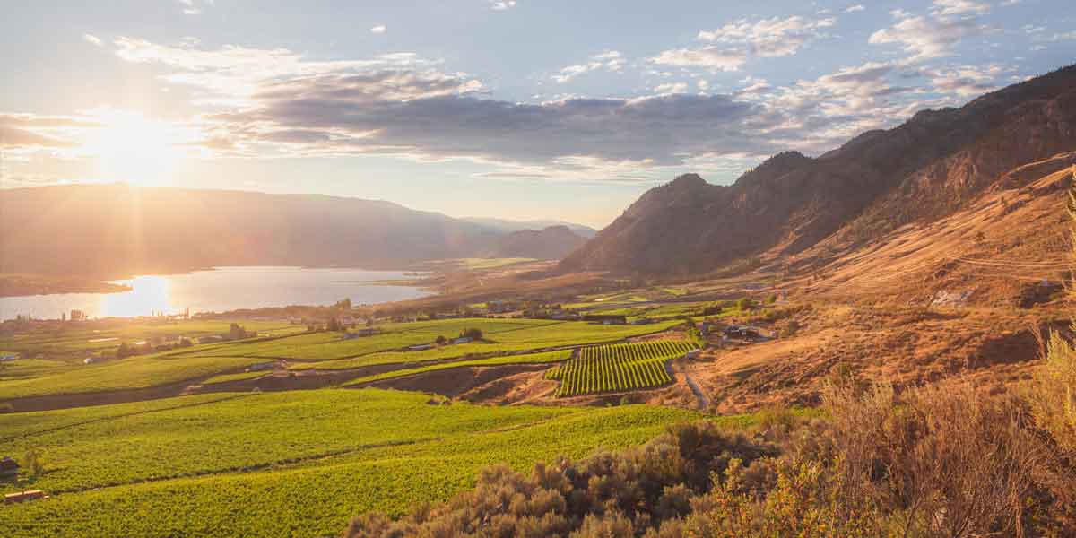 local-amenities-wineries Osoyoos Wineries near Lakeshore Villas Resort